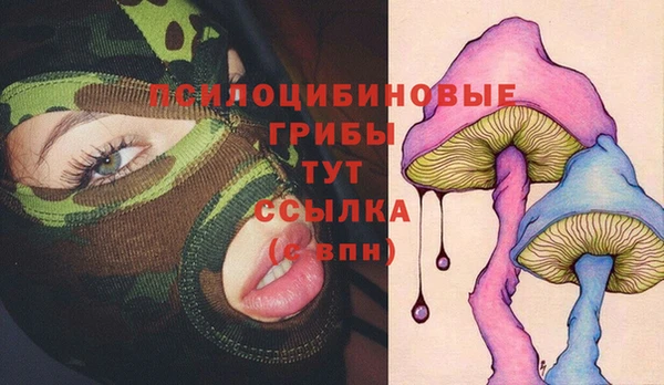 прущие крисы Алзамай